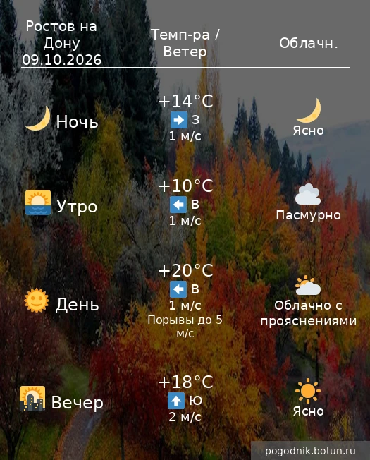 Погода на завтра  09.10.2026