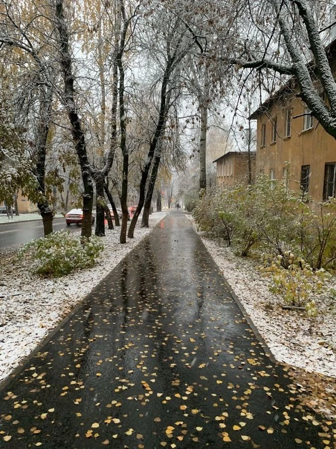 ❗️❄️Зима в Копейске будет аномально тёплой и даже бесснежной