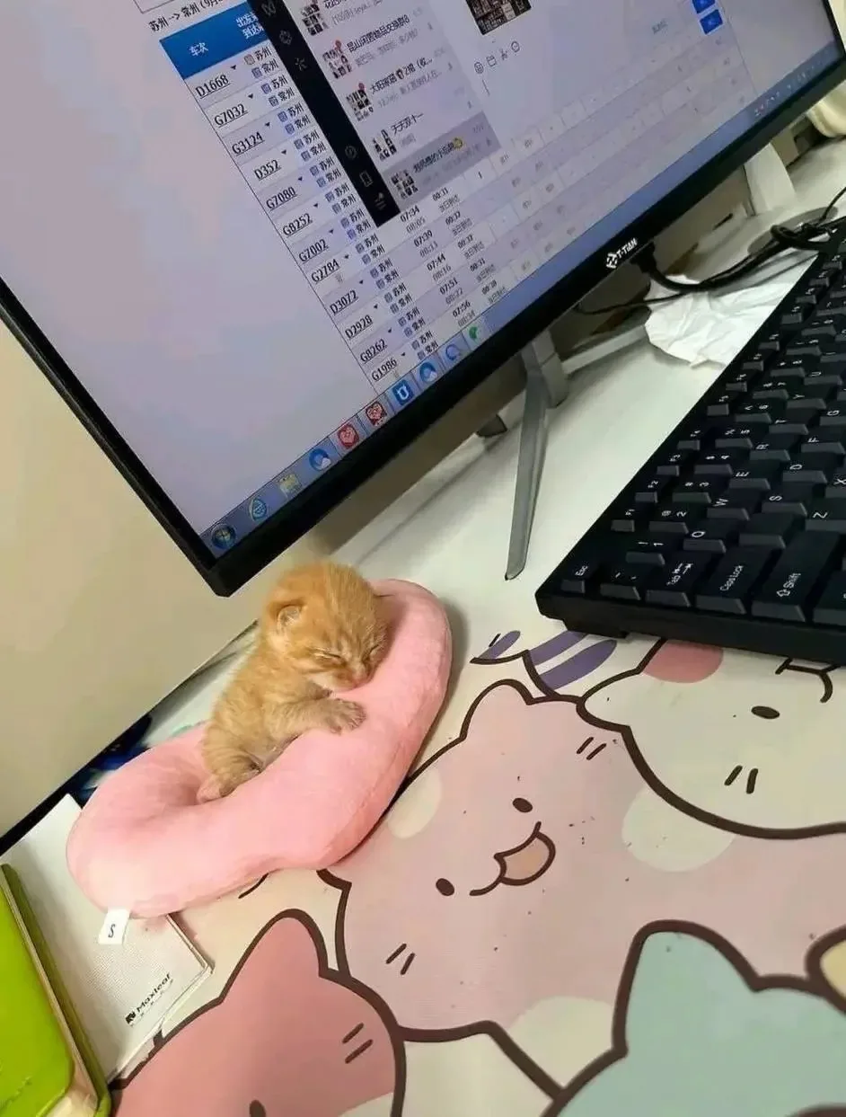 Рабкотаем из последних сил😴