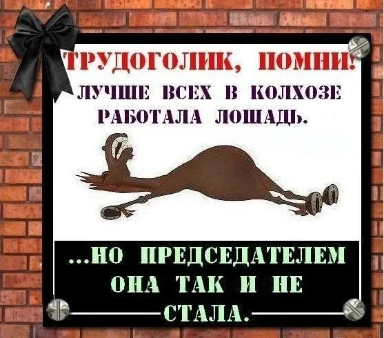 Минутка юмора 😁