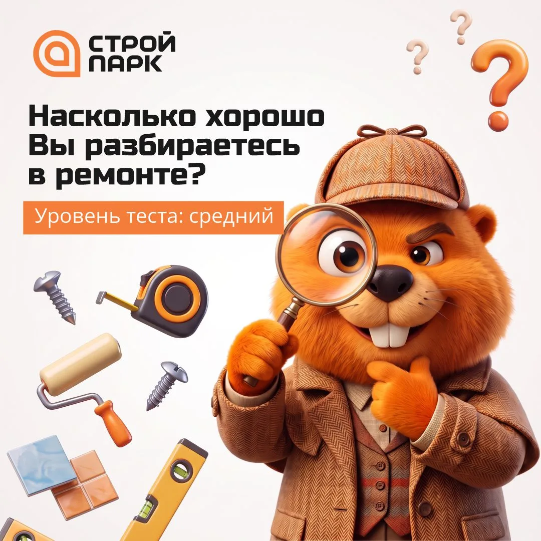 Проверим, насколько хорошо Вы разбираетесь в ремонте? 👀