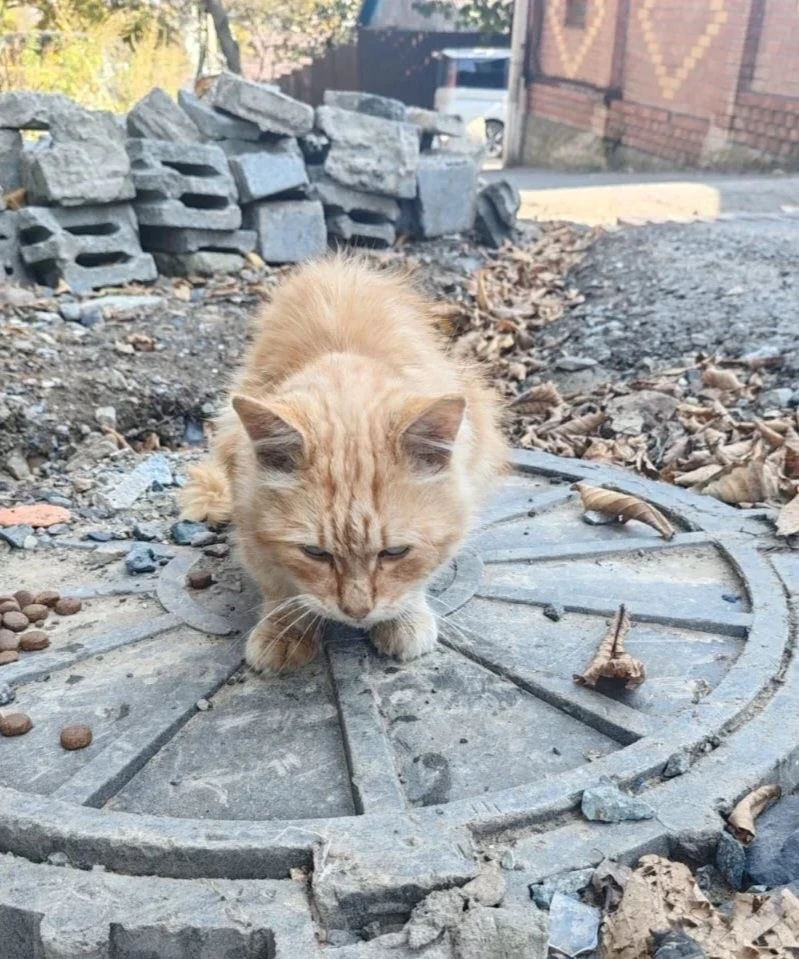 ВЛАДИВОСТОК