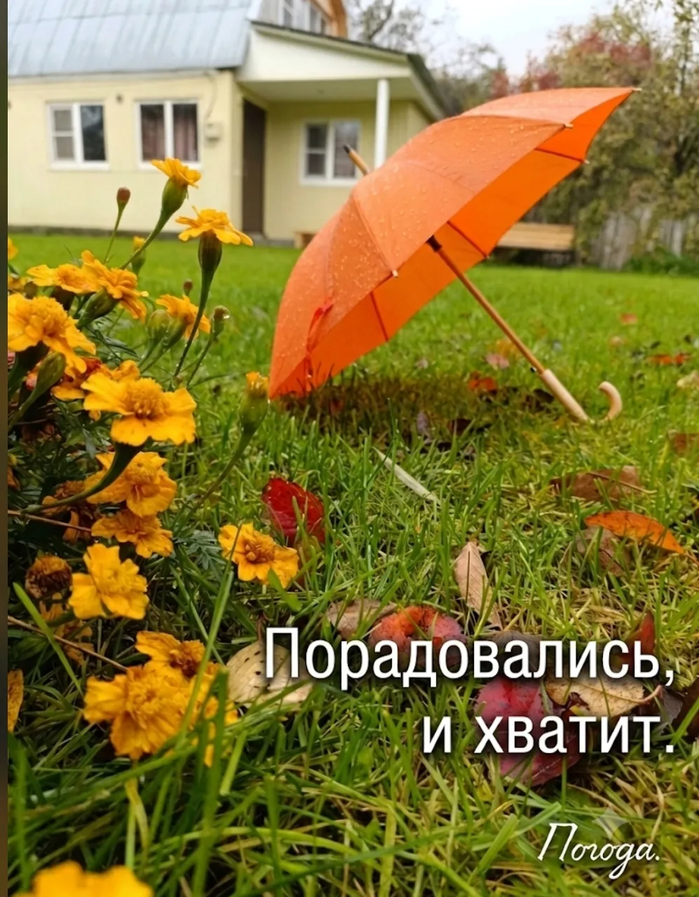 🍁 🏡 ​Даже в пасмурный день гостям на "уДаче" скучно не бывает.