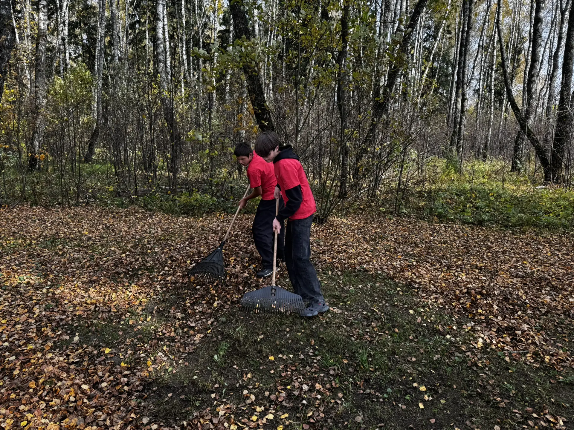 🍂 В рамках Осенней недели добра состоялась волонтёрская акция «Память в деталях»: воло...