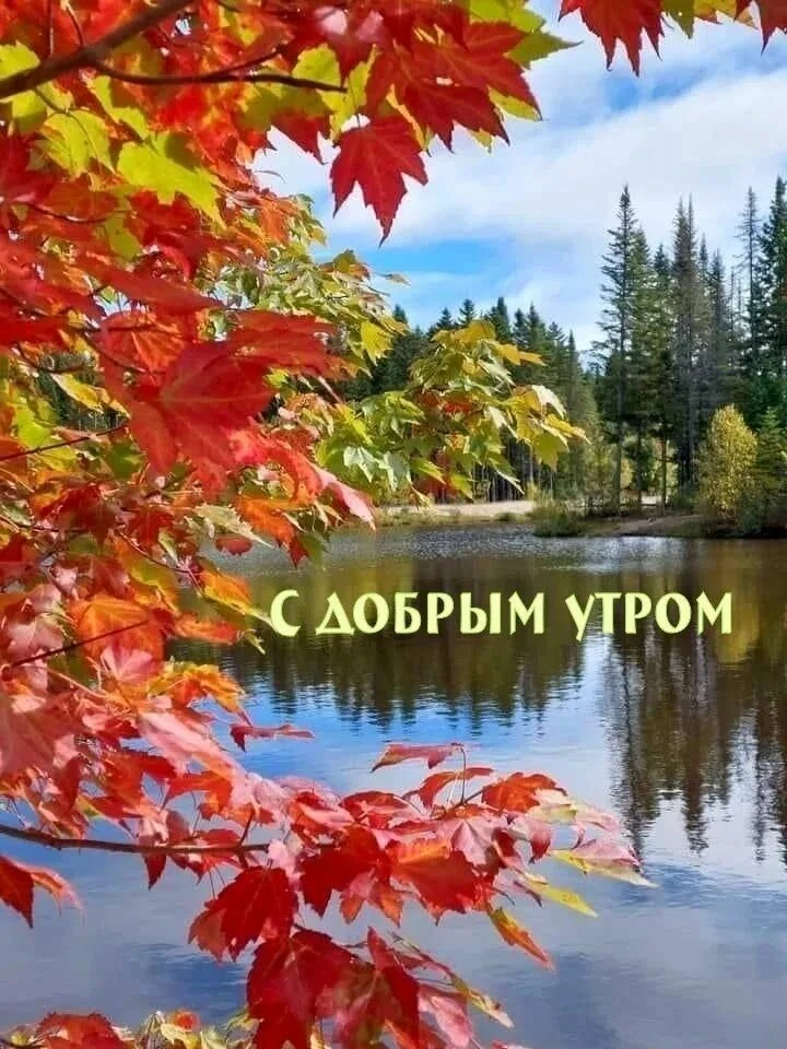 🍁Желаем доброго, осеннего утра!✅