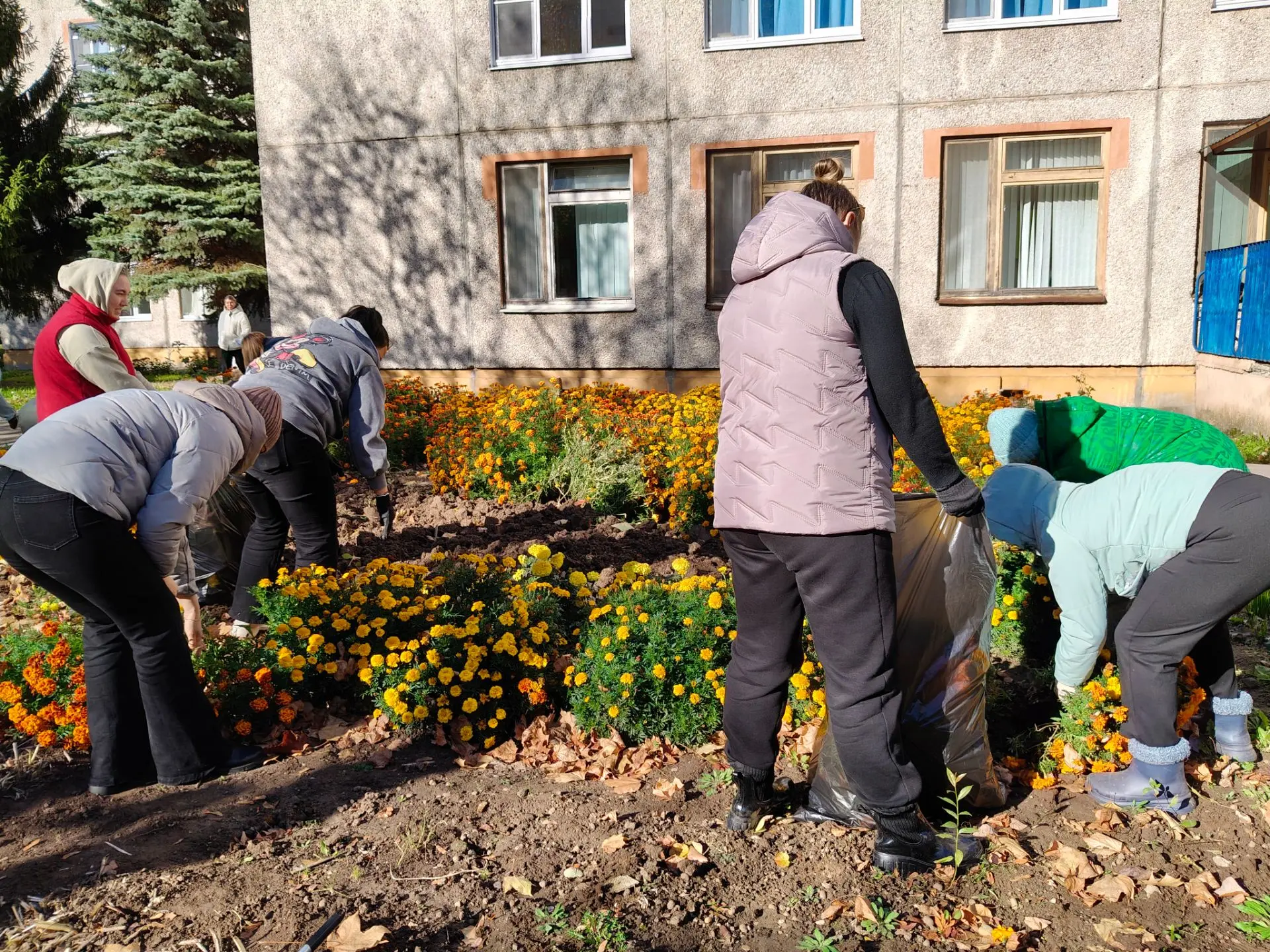 В детском саду продолжаются осенние экологические  субботники