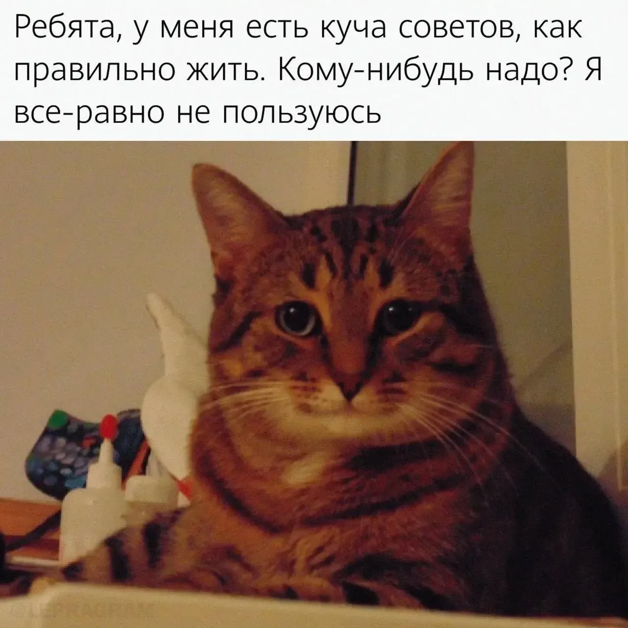 Кто я и зачем вы здесь?