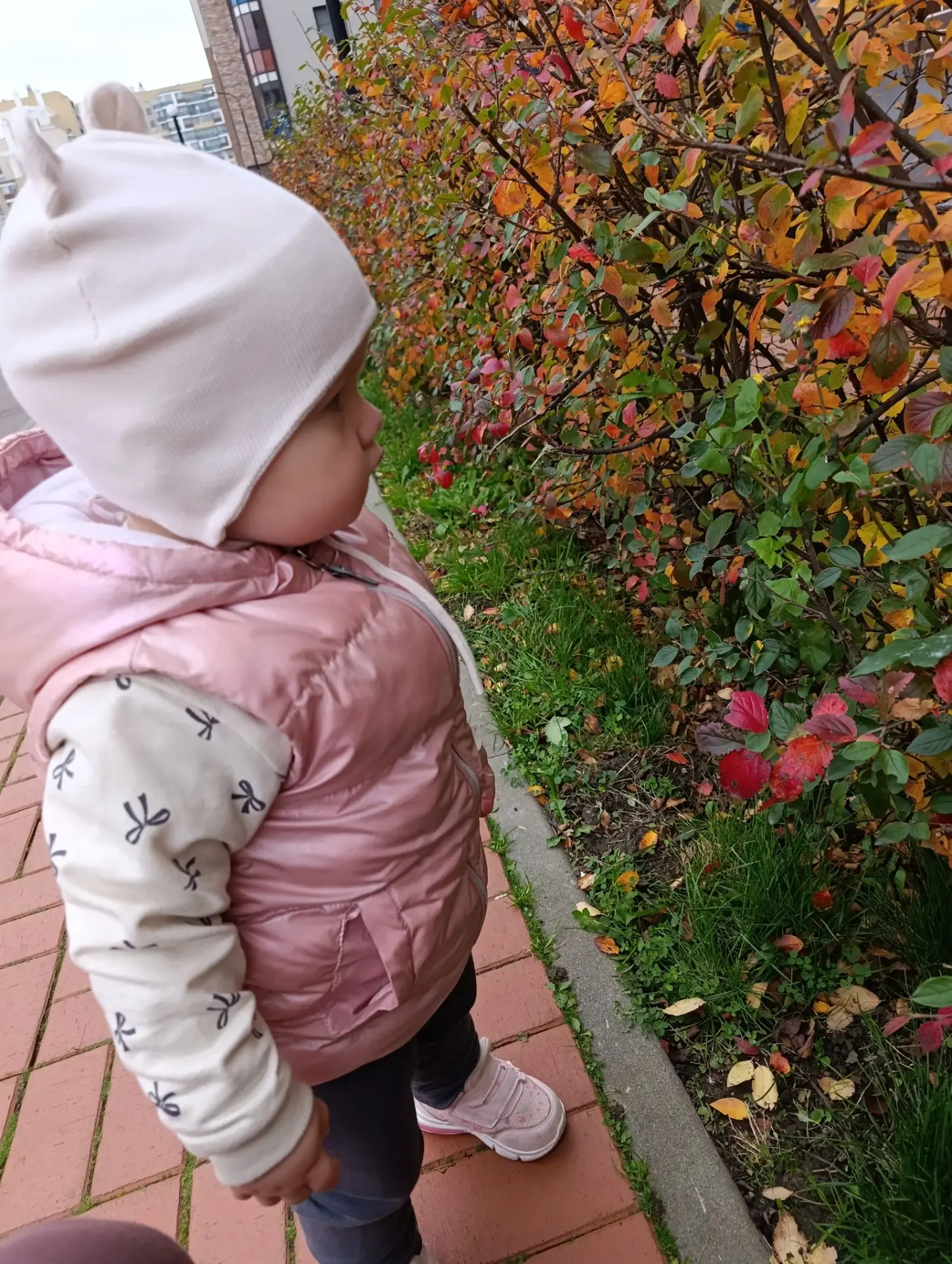 Такая красивая осень🍁