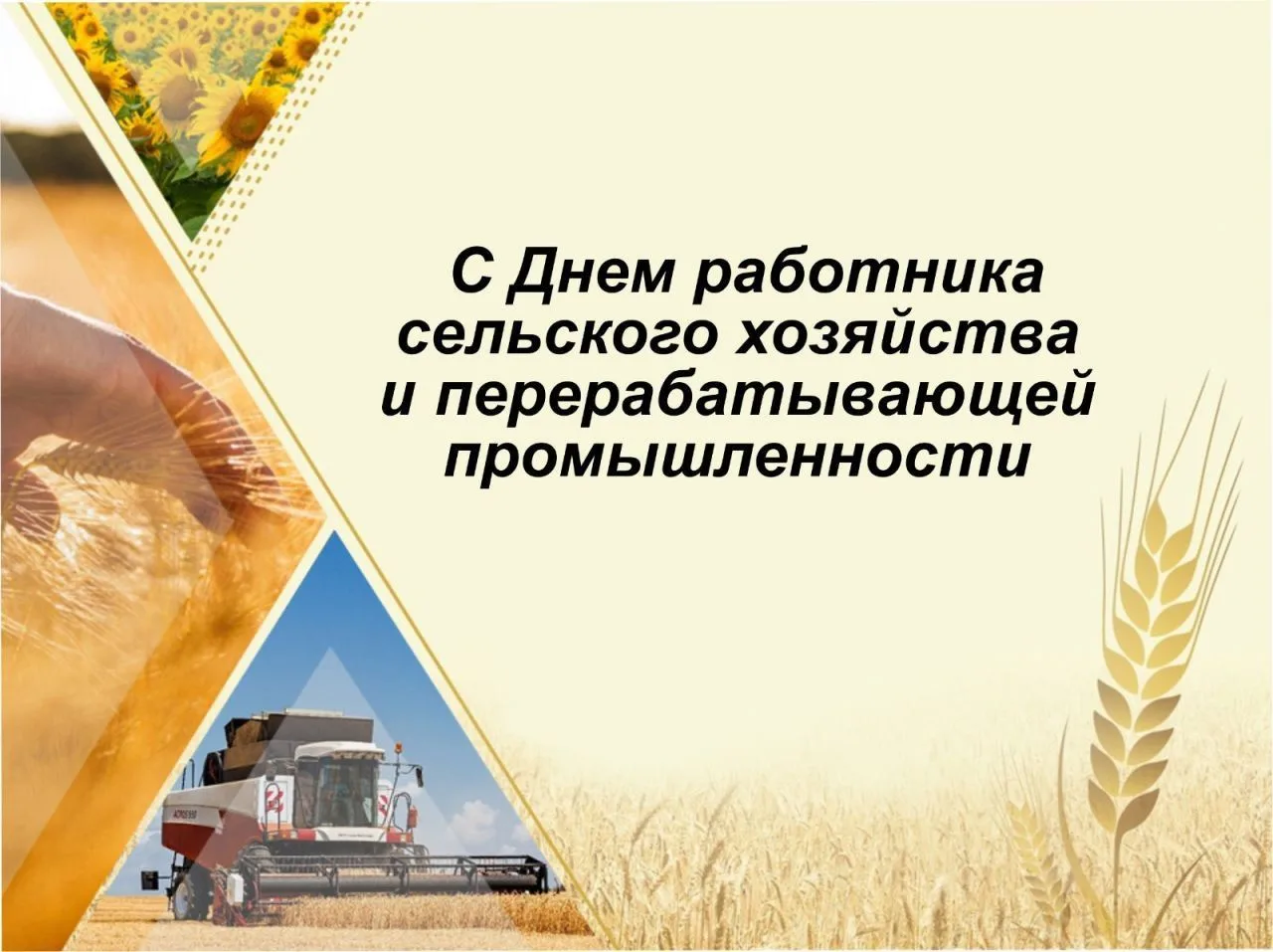 Уважаемые труженики села, работники и ветераны агропромышленного комплекса Радищевского...