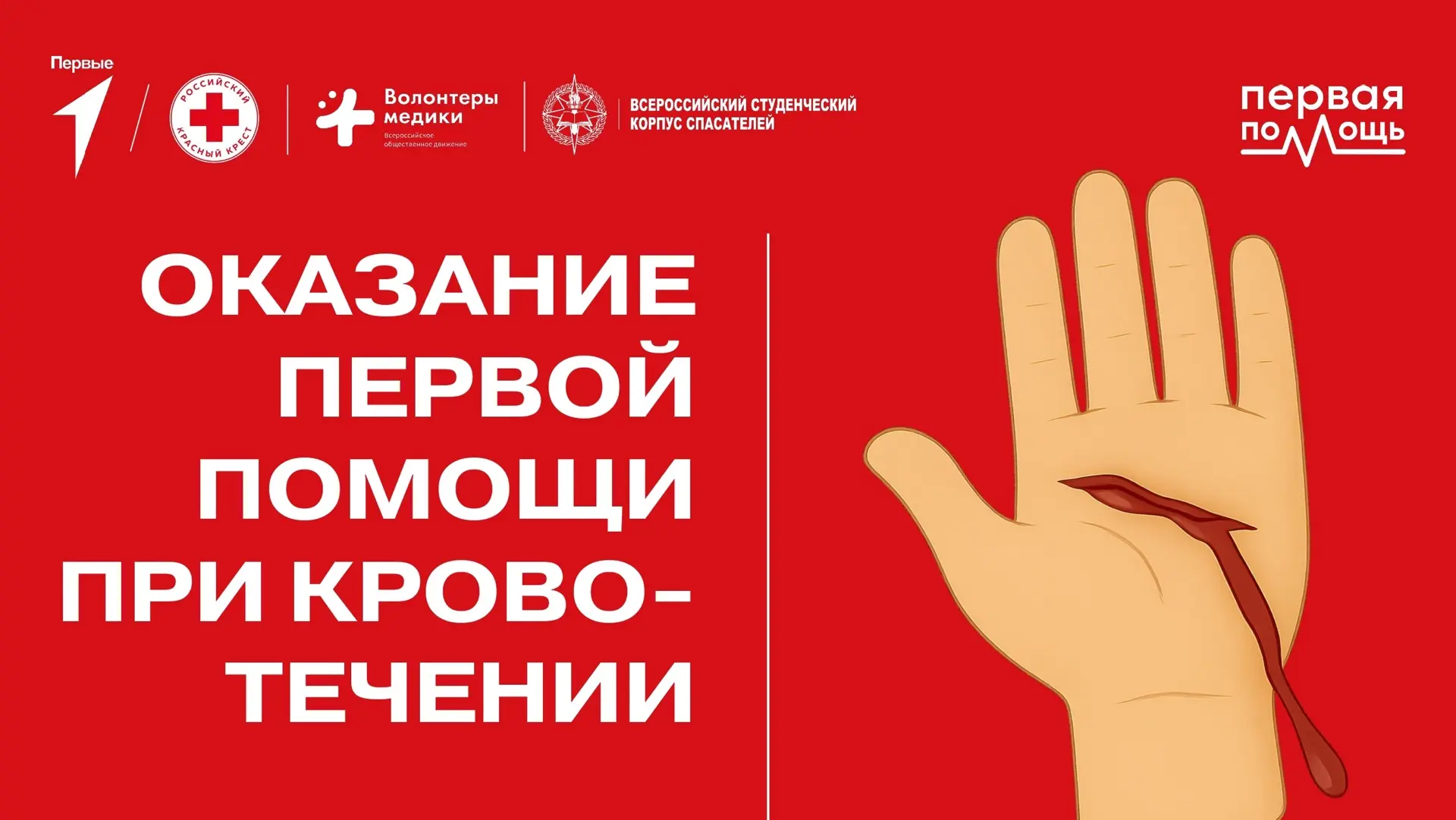 🚨 Безопасность в действии: в МБОУ СОШ 7 пос. Коммаяк прошёл урок первой помощи!