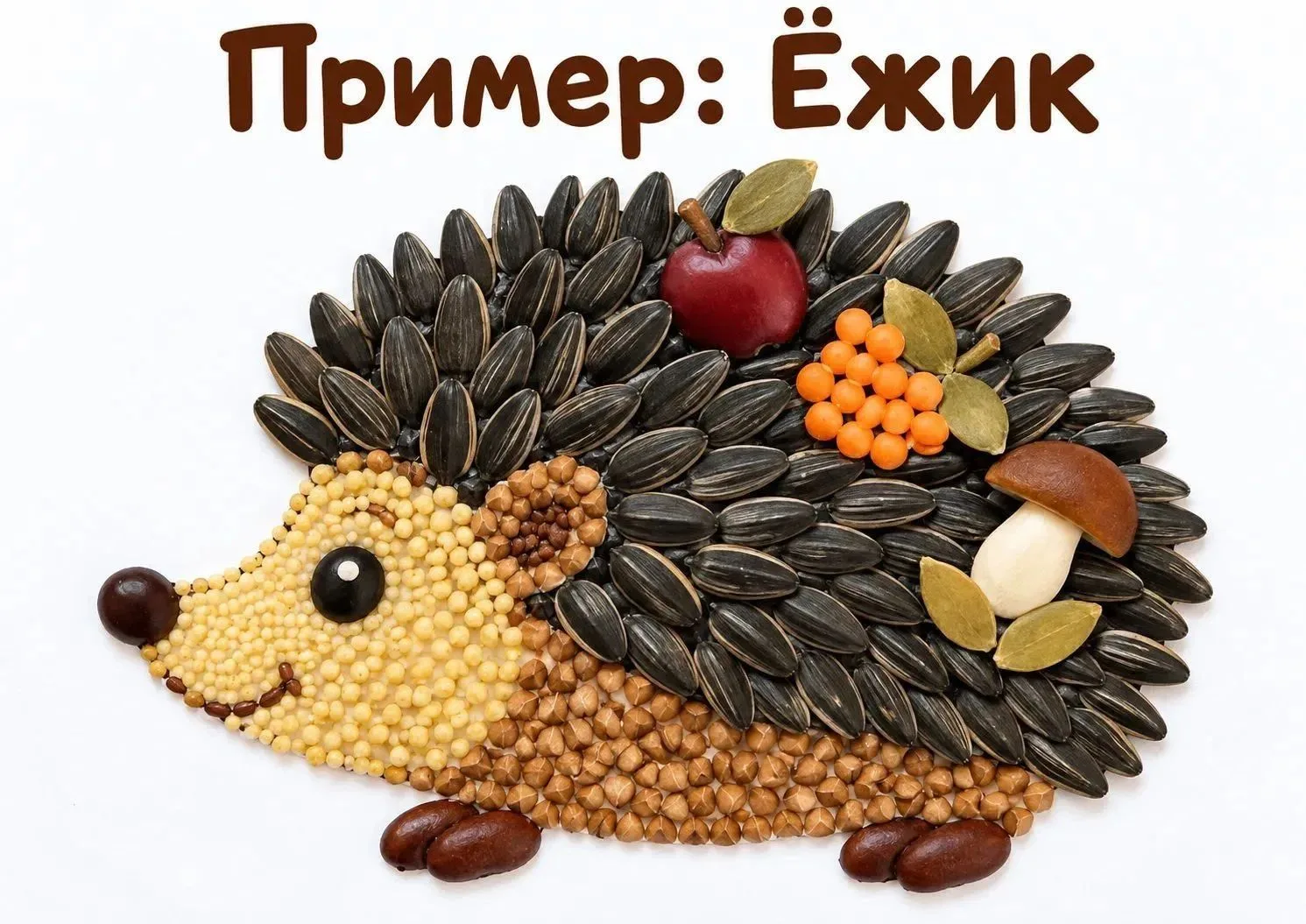 🌻СОСТАВЛЕНИЕ КОМПОЗИЦИЙ ИЗ СЕМЯН.