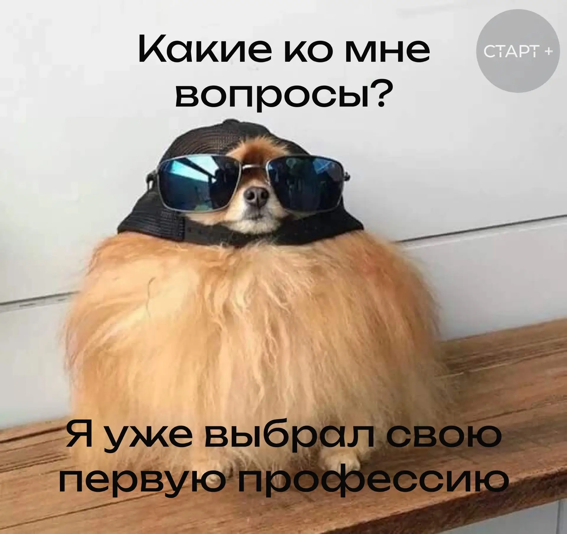 ⭐ В «Старт+» открыта запись на программы проекта «Моя первая профессия».