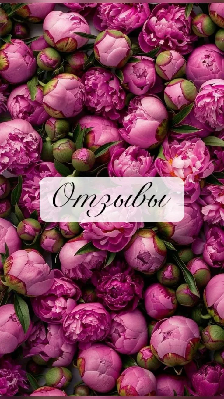 ОТЗЫВЫ МОЖНО ПОЧИТАТЬ ЗДЕСЬ 👇