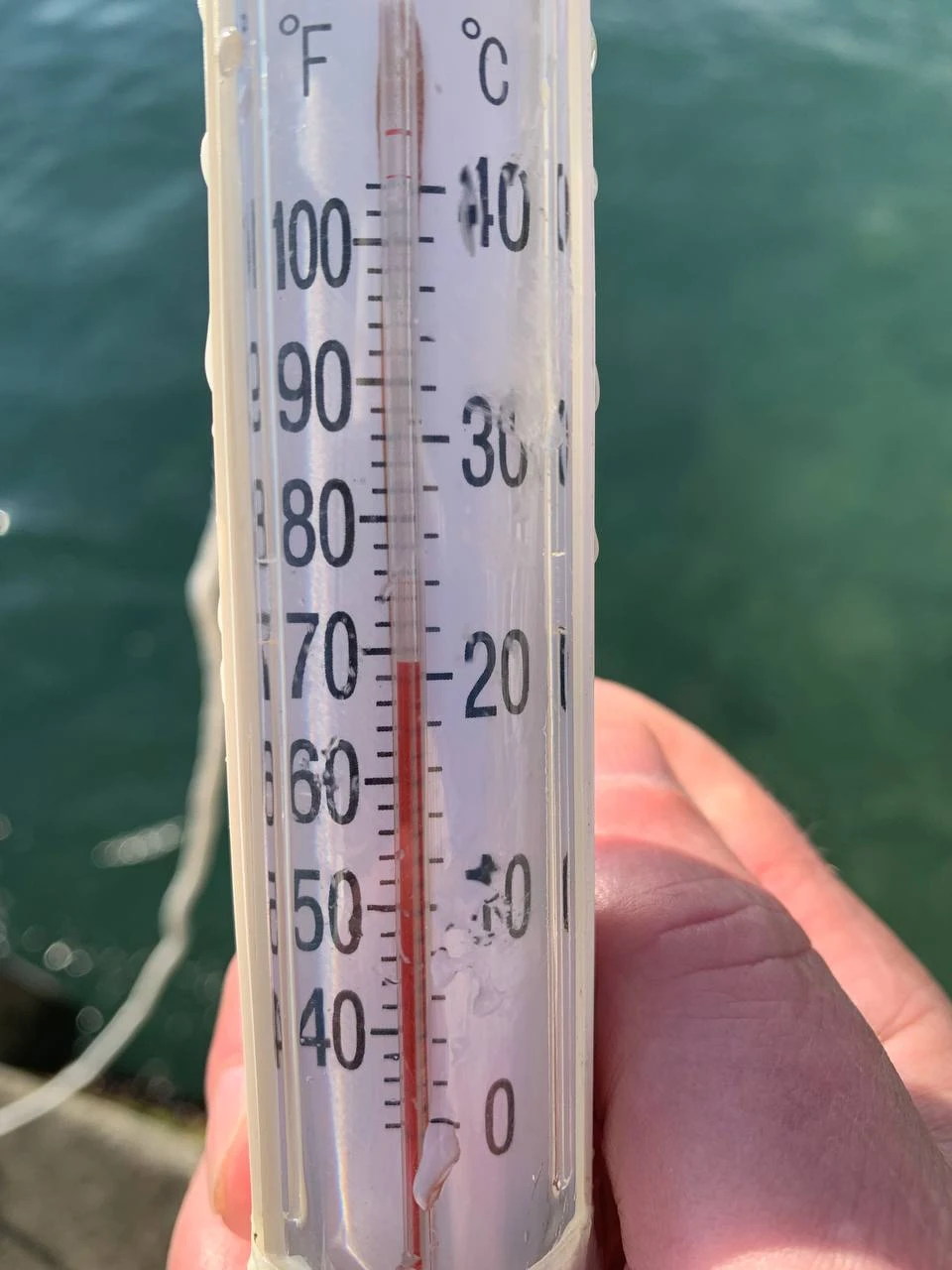 Температура морской воды в Ялте сегодня 21 градус.
