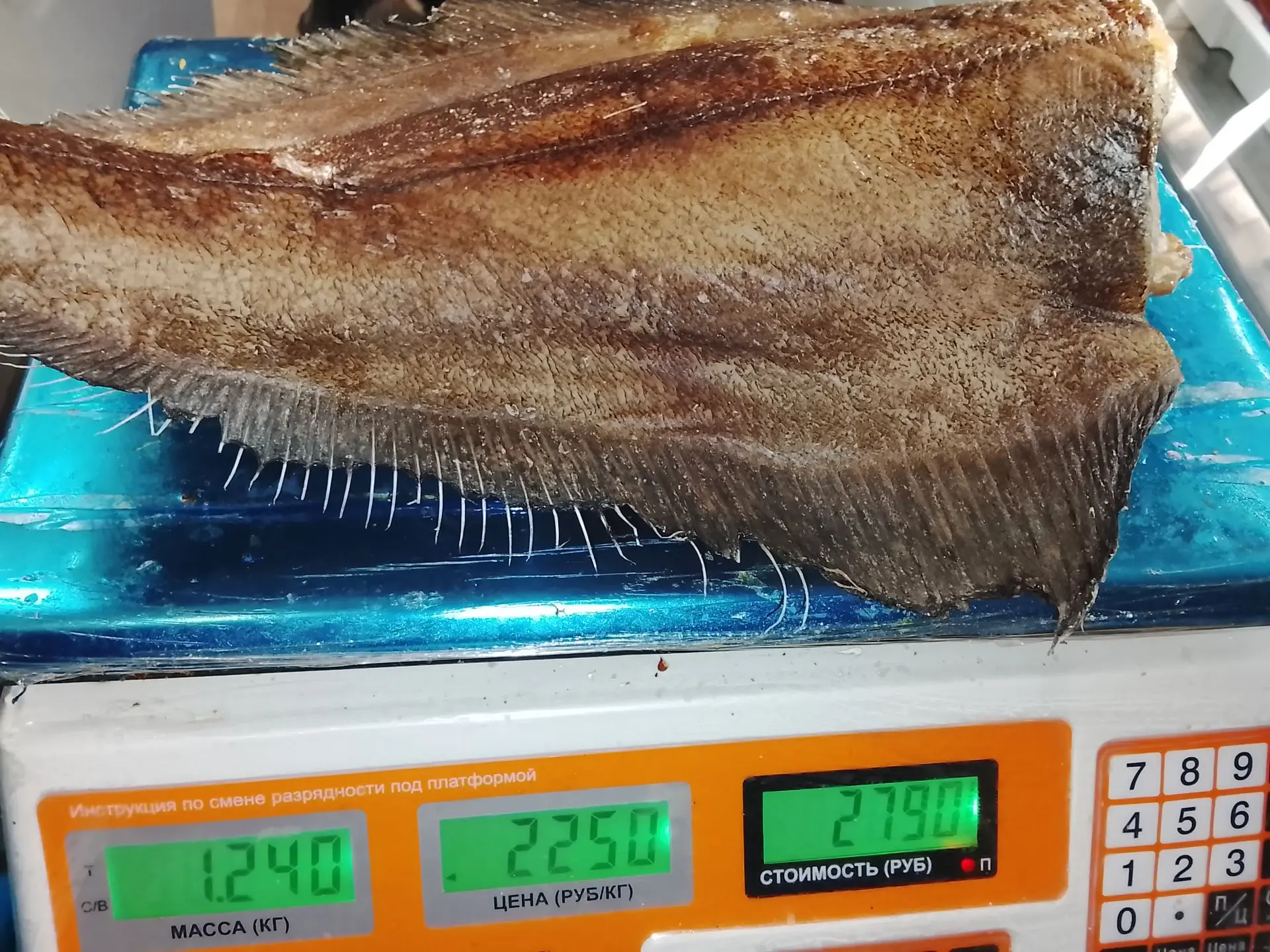 У нас - новый деликатес! В продажу поступил ПАЛТУС КОПЧЁНЫЙ