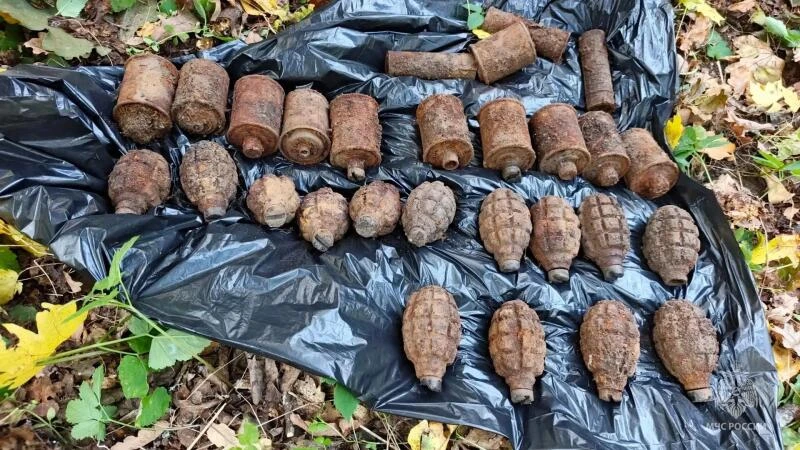 💣 25 боеприпасов времён Великой Отечественной войны обезвредили  взрывотехники МЧС