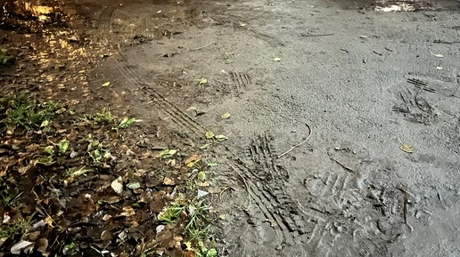 Грязь и лужи: к чему приводит стихийная парковка в Тагиле