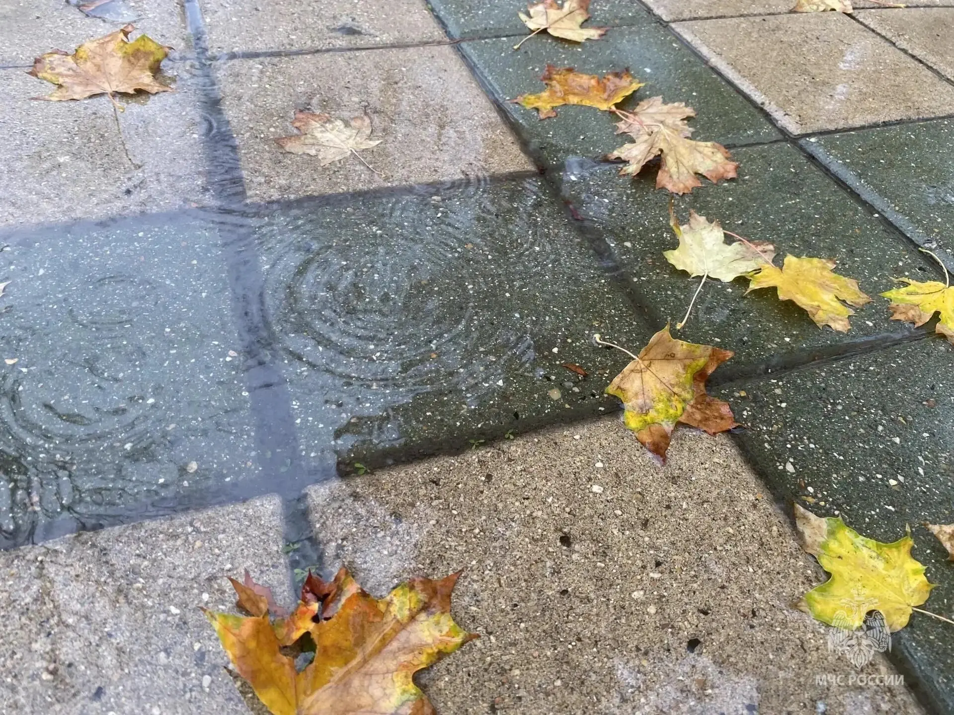 В регионе ожидаются небольшие, местами умеренные дожди ⛈️