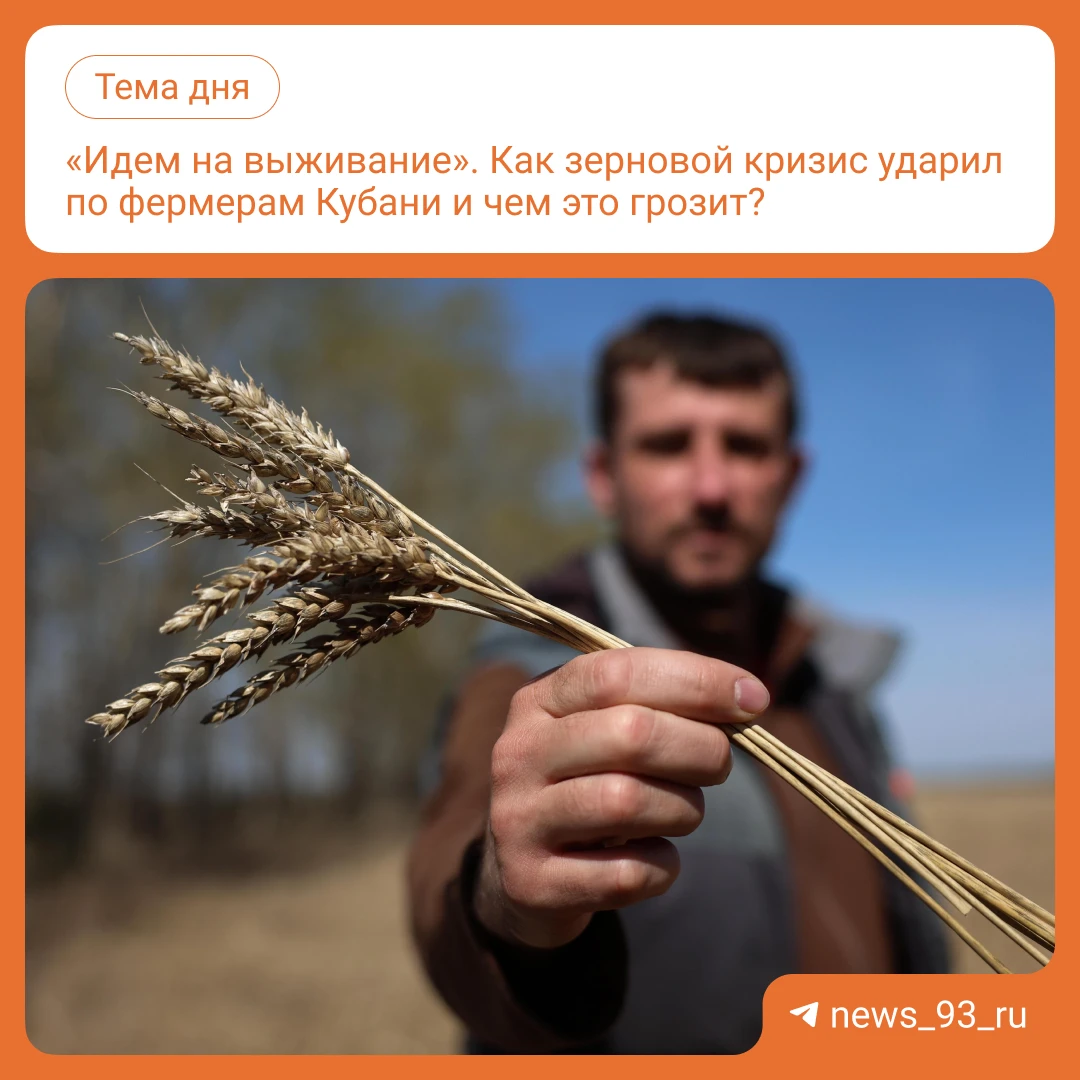 На Кубани фермеры не могут продать зерно по нормальной цене. Из-за проблем с экспортом ...