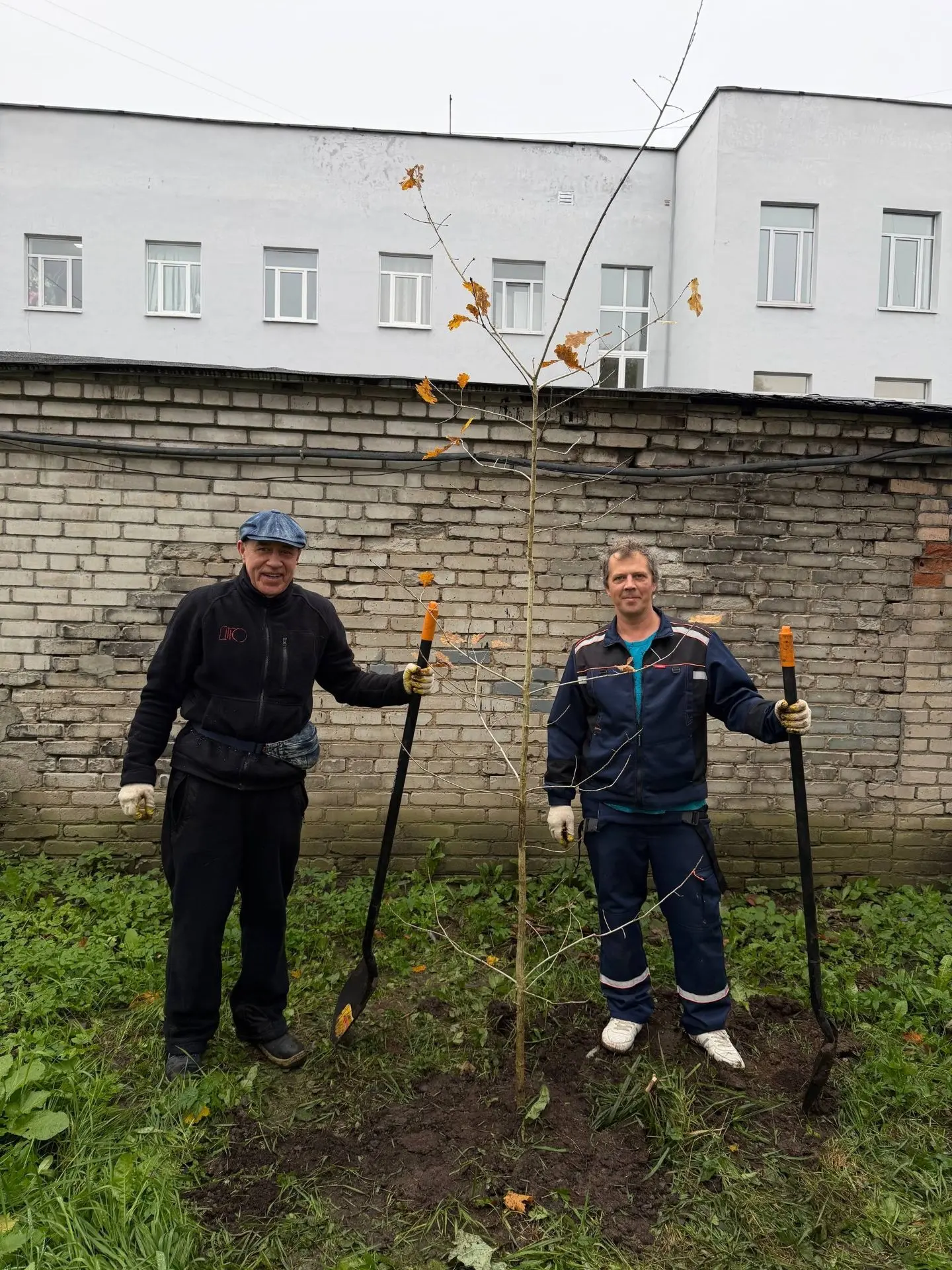 Вносим свой вклад в будущее Гатчины!