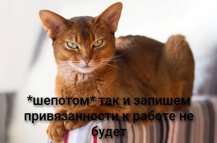Маленькая история от патпищека😁