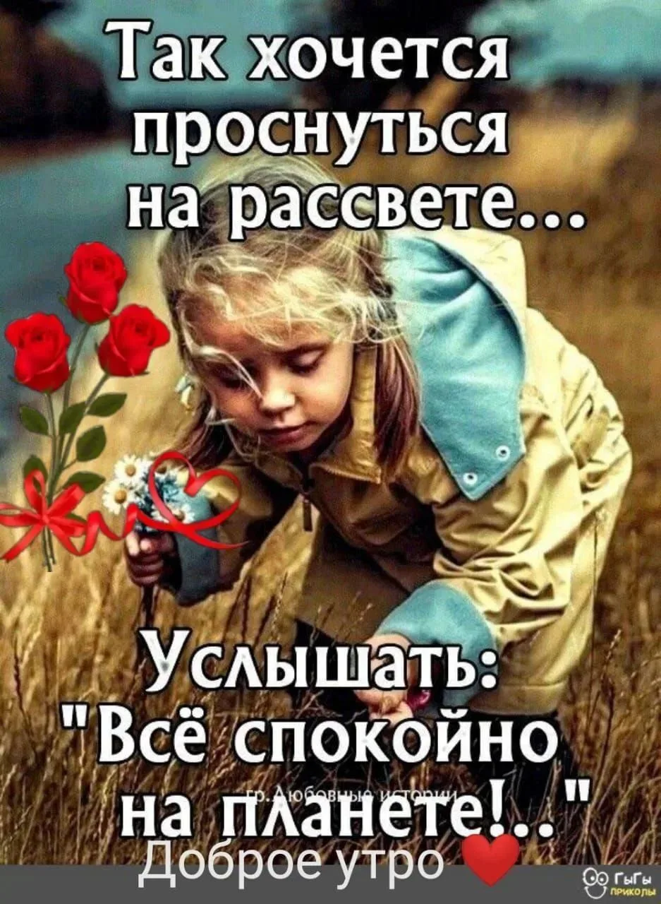 Мира и добра ✨🙏🫂
