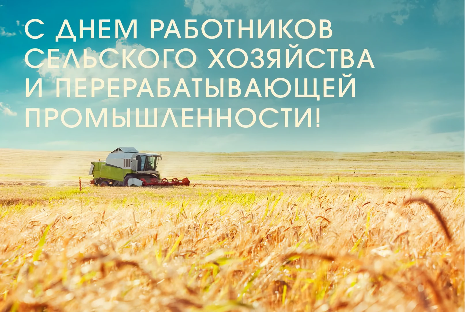 🎉🚜 Уважаемые труженики и ветераны агропромышленного комплекса! Поздравляю вас с Днём ...
