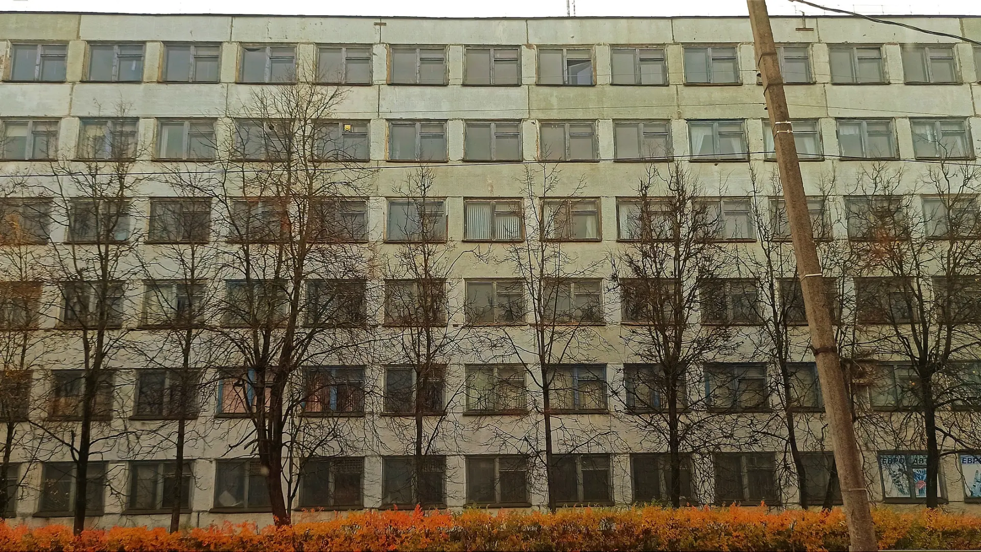 Как дела? 🍁