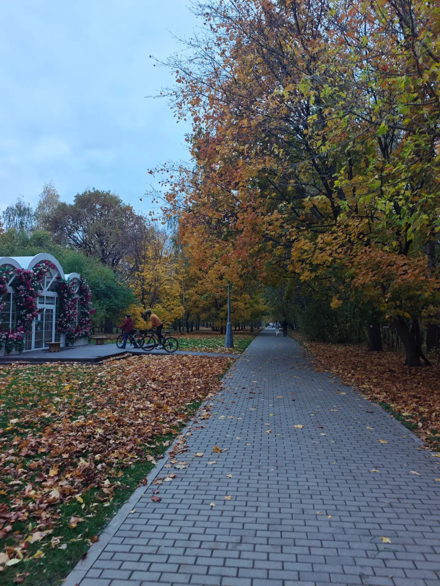 🍁Запах осени