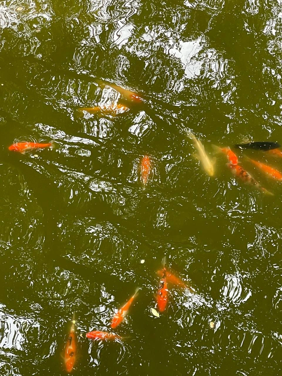 🇨🇳 Вернемся в Китай.