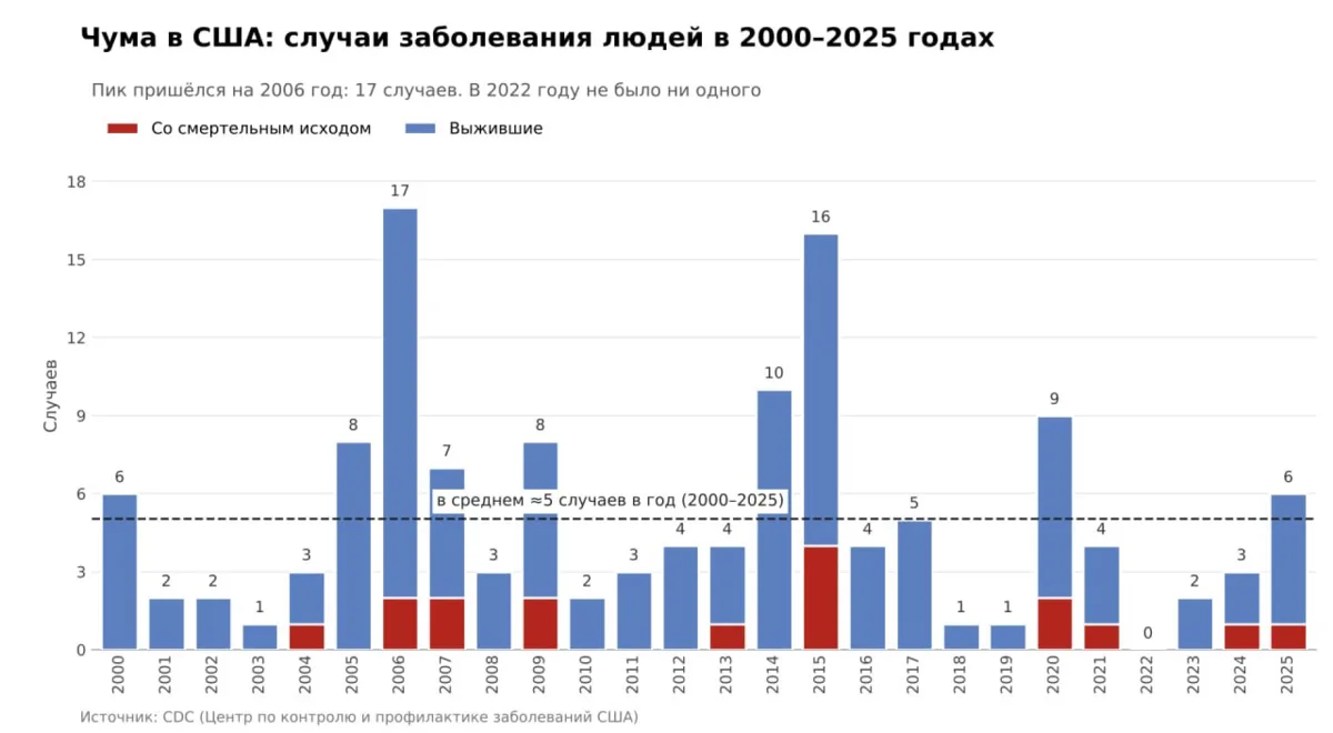 Чума в США и «чума» в России: Где рисуют цифры, а где тушат фейки