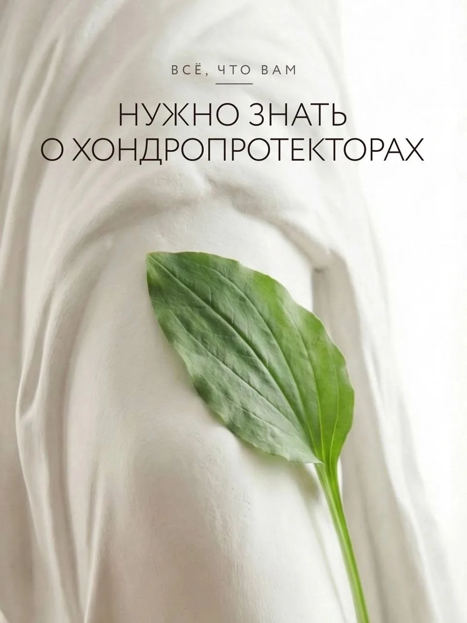 🦵 Хондропротекторы: всё, что нужно знать перед покупкой