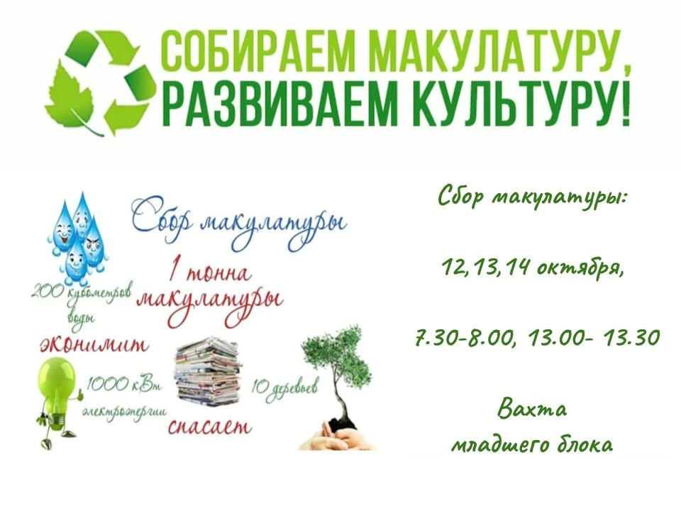 🌲🌳🌿 Собираем макулатуру. Развиваем культуру🌿🌳🌲