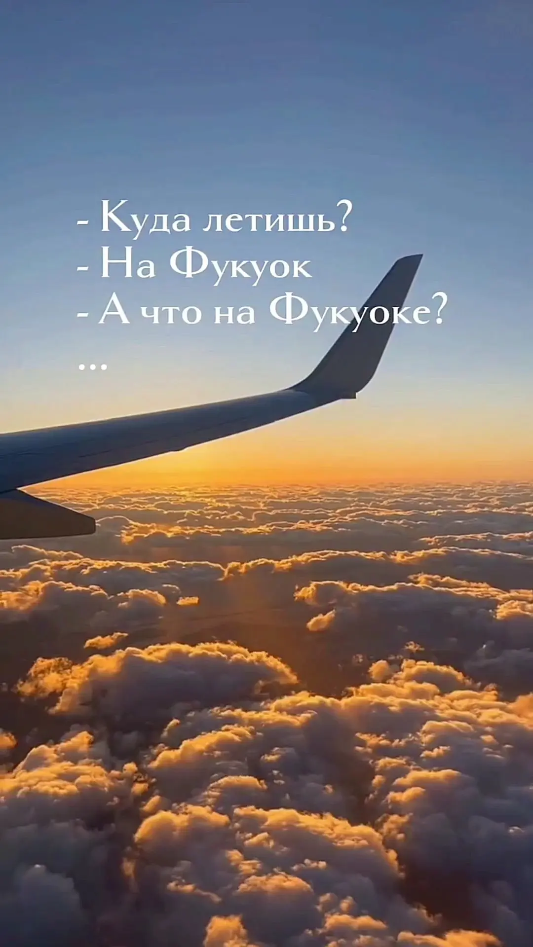 Видео: https://vk.ru/clip-59717399_456241063