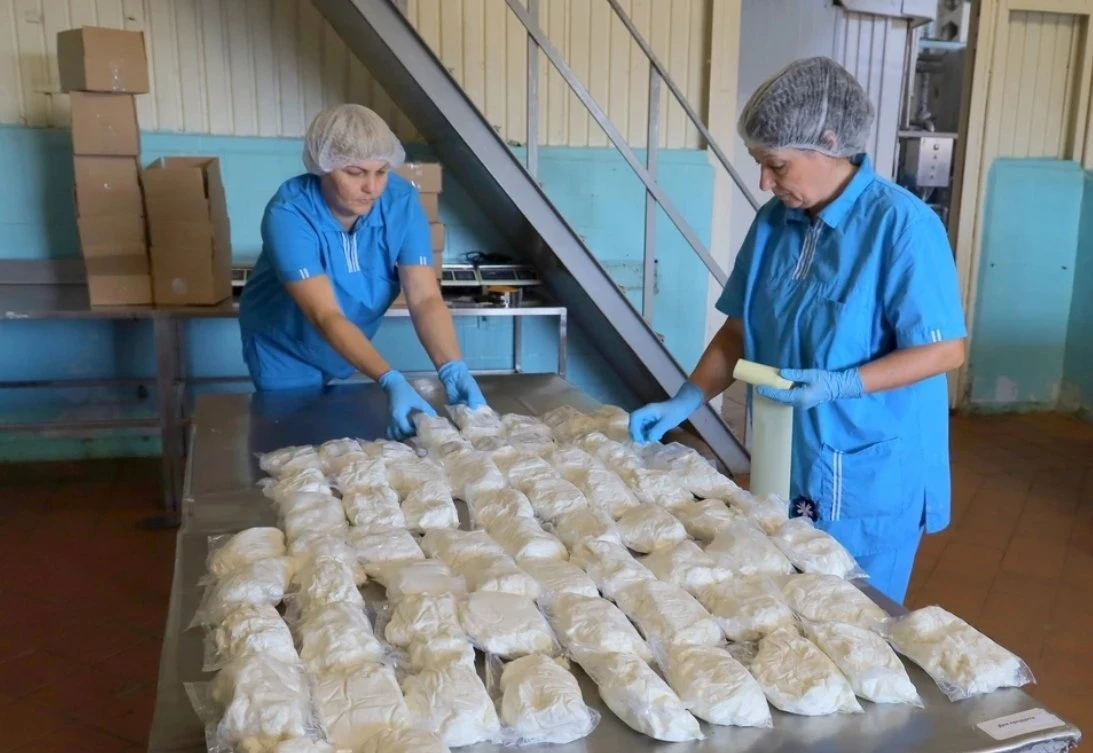 🥛 Почти вдвое больше творога: «Молочный край» завершил внедрение бережливых технологий