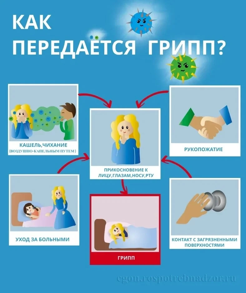 Сезон гриппа уже близко — и вирус не выбирает, кого заразить.