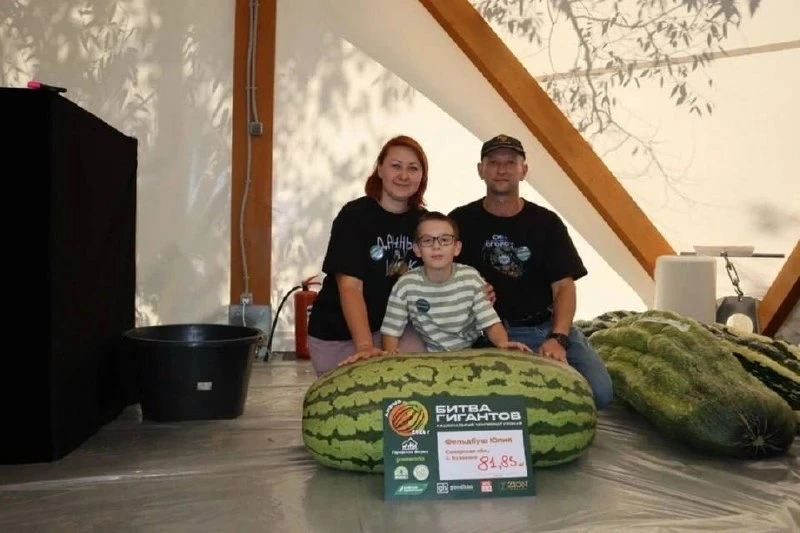 🍉 Арбуз весом почти 82 кг из Самарской области занял четвёртое место в международном р...