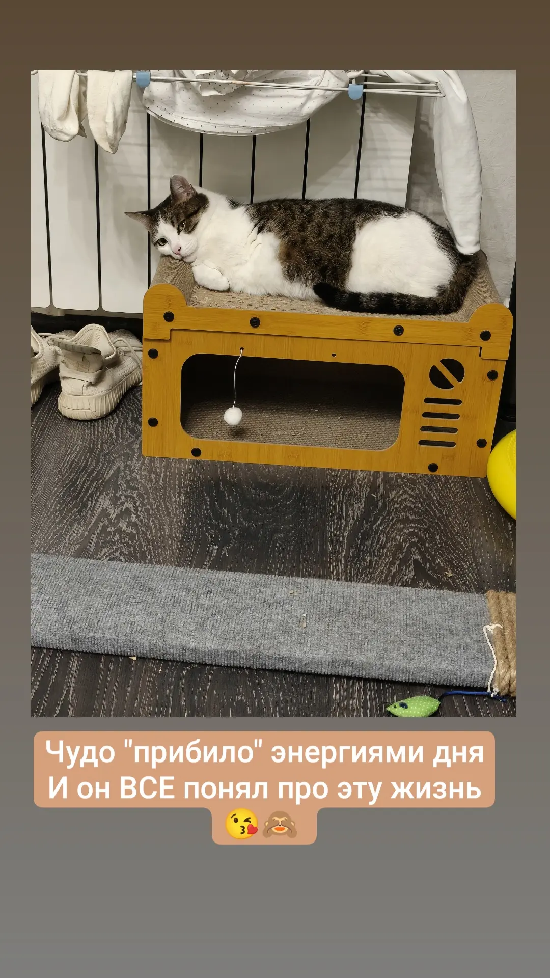 Чудесные мои люди, вы как там сегодня, держитесь?