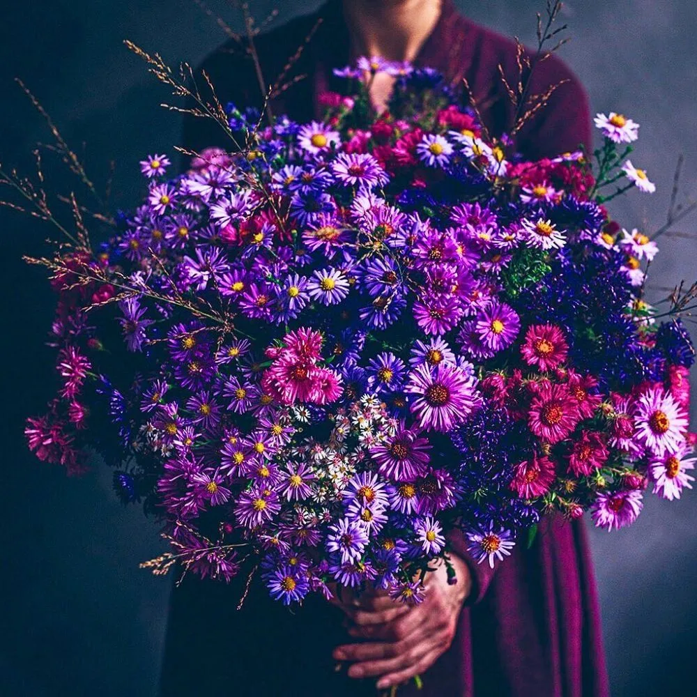 4. Бархатцы (Tagetes)