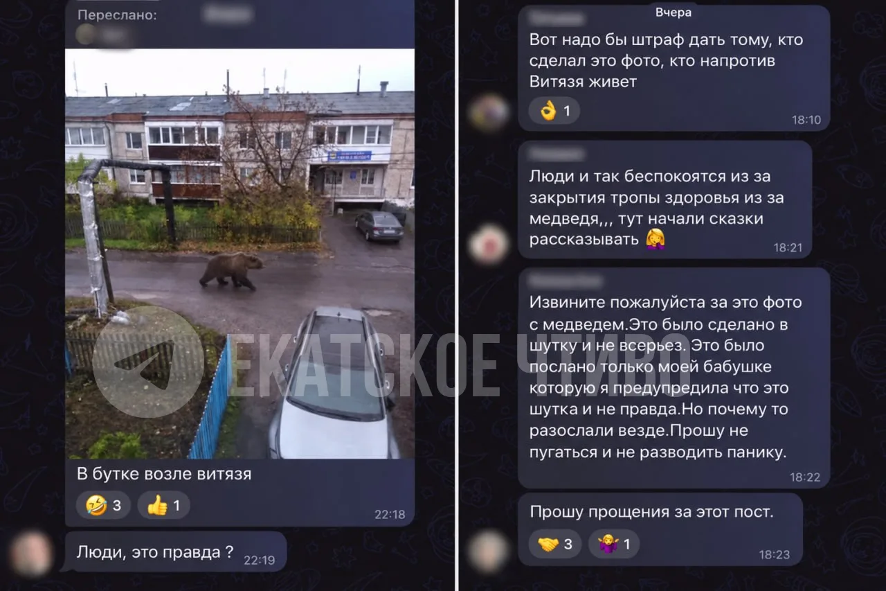 Девочка, которая кричала медведи: внучка хотела напугать бабушку мишкой и случайно пере...