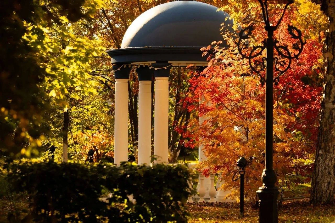 Чехов-центр, окружённый осенней листвой 🍂