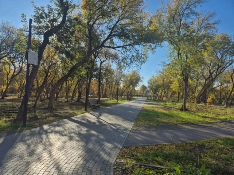 🌳 В Барнауле продолжают благоустраивать парк имени Ленина