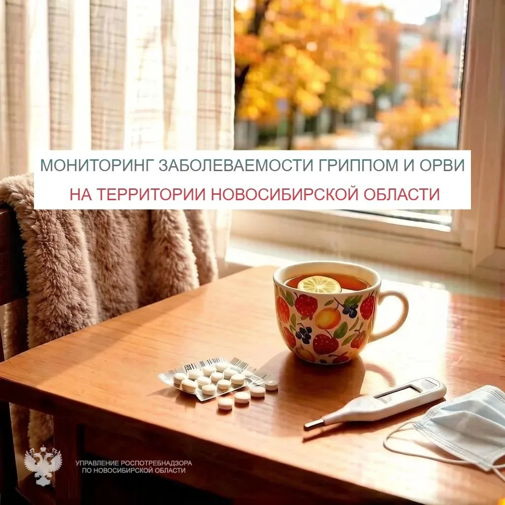 На территории Новосибирской области за 41-ю неделю (с 5.10.2026  по 11.10.2026) отмечае...