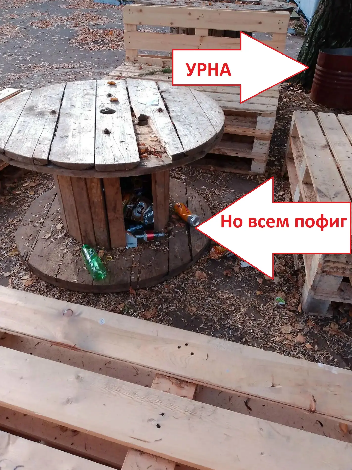Молодежное пространство "Тинариум" в петровском парке. Как говорится, посади свинью за ...