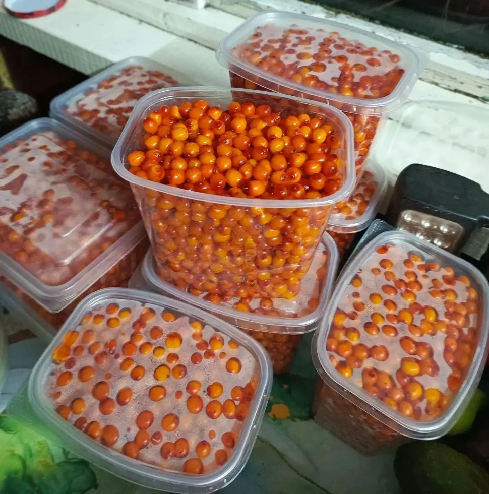 Продам облепиху, цена 350 руб./л. Самовывоз п. Зыково, возможна доставка на ГРЭС и КСК....
