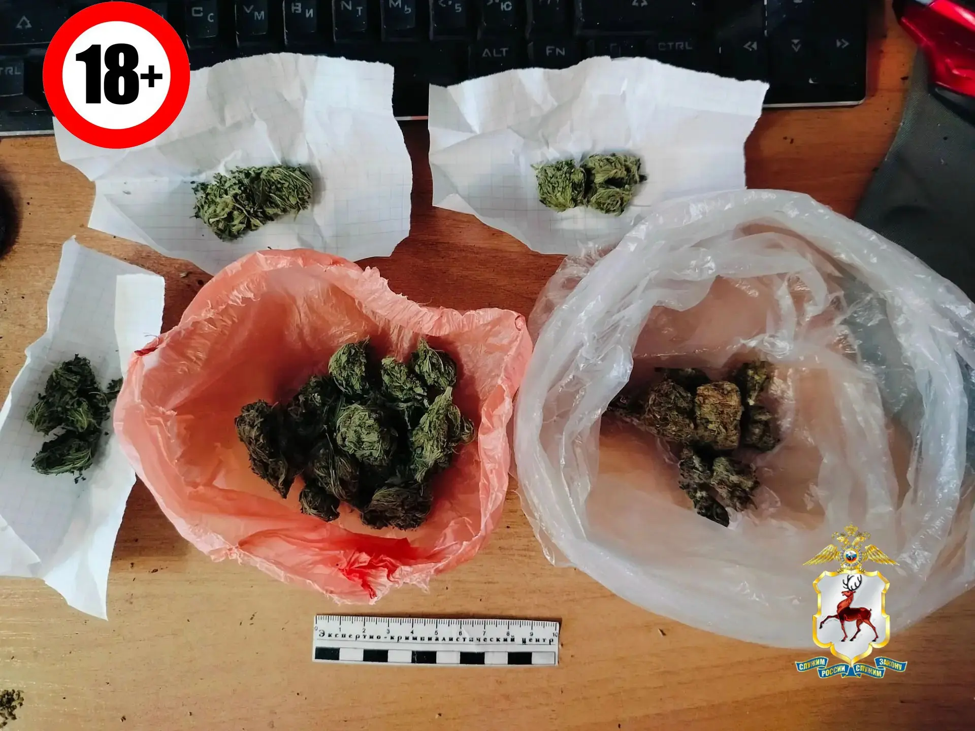 🚨 В Семёнове у водителя и пассажира автомобиля изъяли более 260 граммов марихуаны