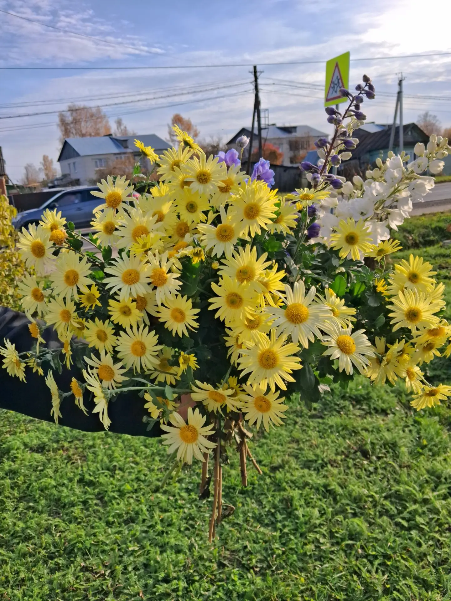 В этом году осень просто великолепна ❤️