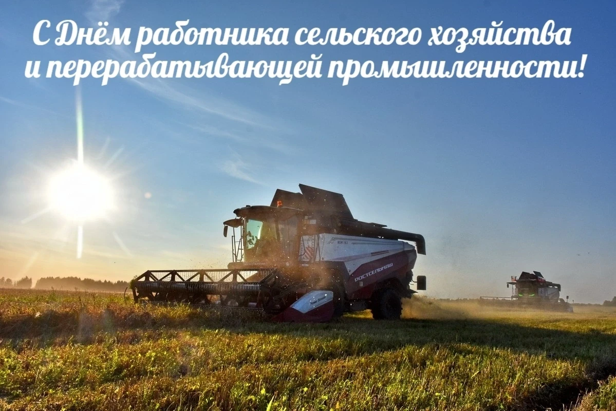 🌾 Поздравление работникам сельского хозяйства и перерабатывающей промышленности