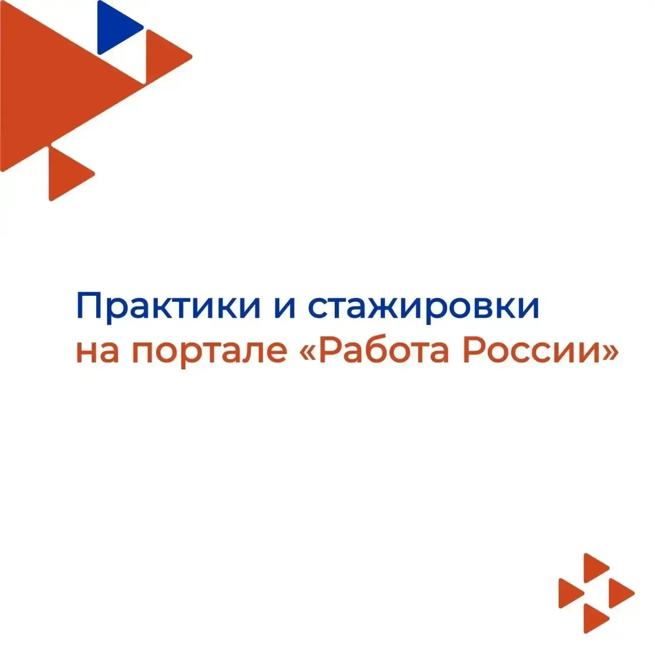 🎓 Учишься на последнем курсе и уже задумываешься о работе?