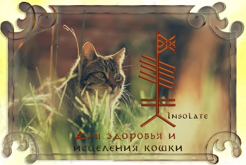 Став из огама для здоровья и исцеления кошки, автор Insolate